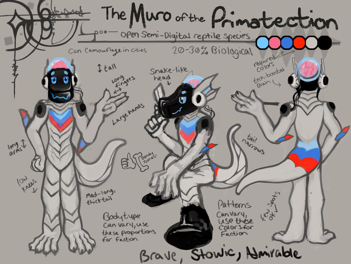 The Muro